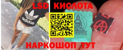МДПВ Бийск