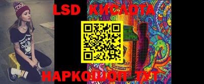 спайс Берёзовский
