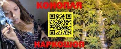МДПВ Бийск