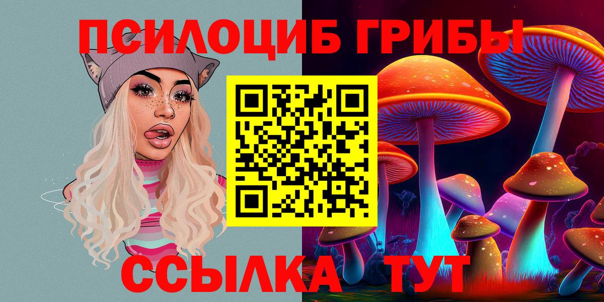 Каспийск  Псилоцибиновые грибы Psilocybine cubensis  Галлюциногенные грибы Psilocybine cubensis  Вход с VPN 