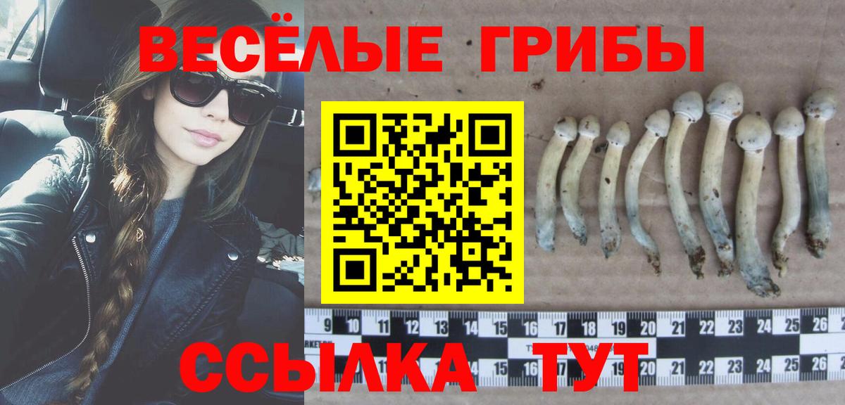 Псилоцибиновые грибы мухоморы Каспийск